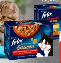hausapotheke aufbewahrung Medikamenten Aufbewahrung, Medizinbox, Hausapotheke Box, Apothekenbox, –  Zedelmaier Shop
