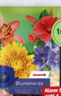 Aktuelle Angebote der Woche  Dnger Blumenerde  Juni 2026 - marktguru