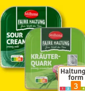 Kräuterquark