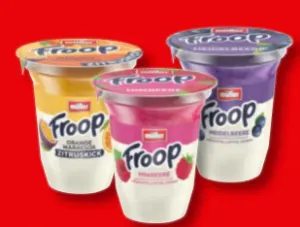Froop