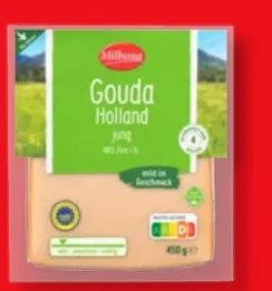 Gouda Holland