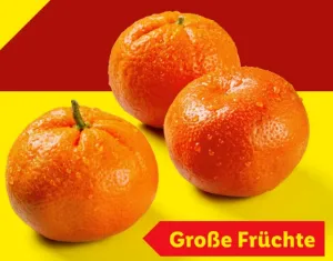 Mandarinen
