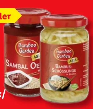 Bambusschösslinge