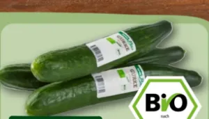 Bio-Salatgurke