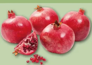 Granatapfel