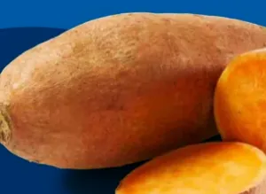 Süßkartoffeln