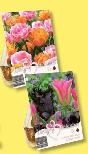 Blumenzwiebelmischung