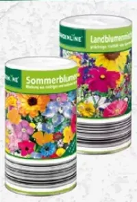 Pflanzen im Angebot bei ALDI SD - Juni 2026 - marktguru.de
